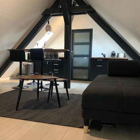 דירות קולמר Cocoon Loft מראה חיצוני תמונה