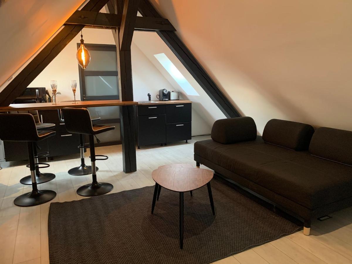 דירות קולמר Cocoon Loft מראה חיצוני תמונה