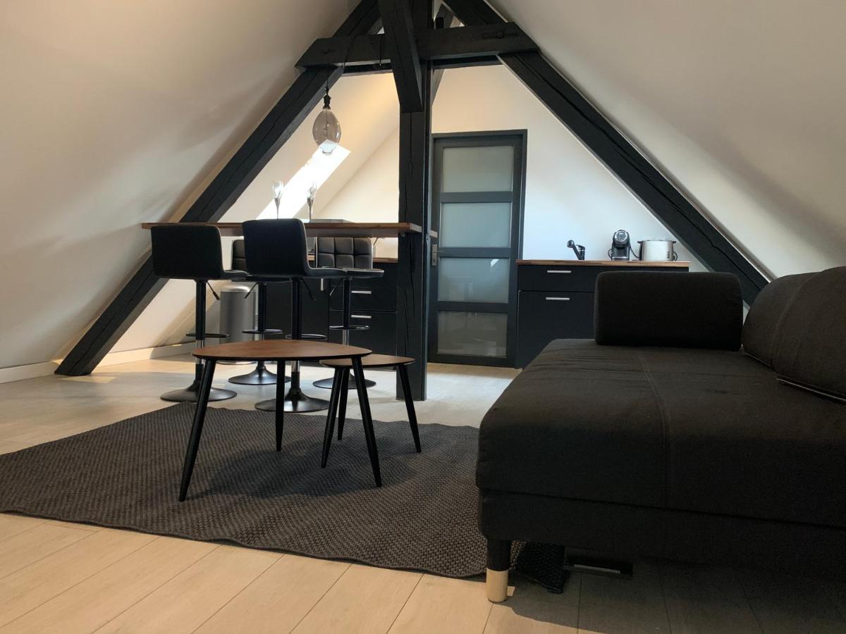 דירות קולמר Cocoon Loft מראה חיצוני תמונה