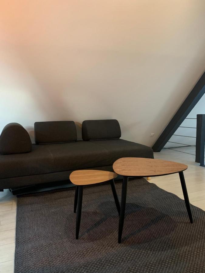 דירות קולמר Cocoon Loft מראה חיצוני תמונה